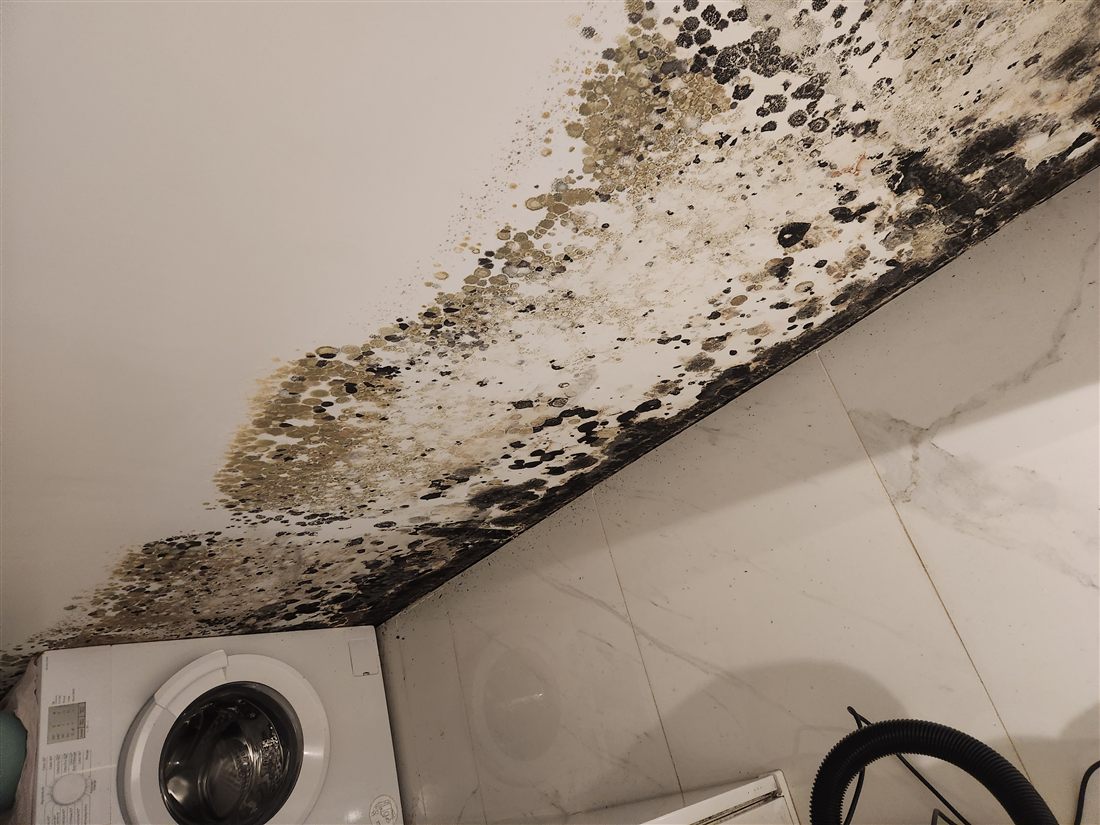 Murs humides en sous-sol
